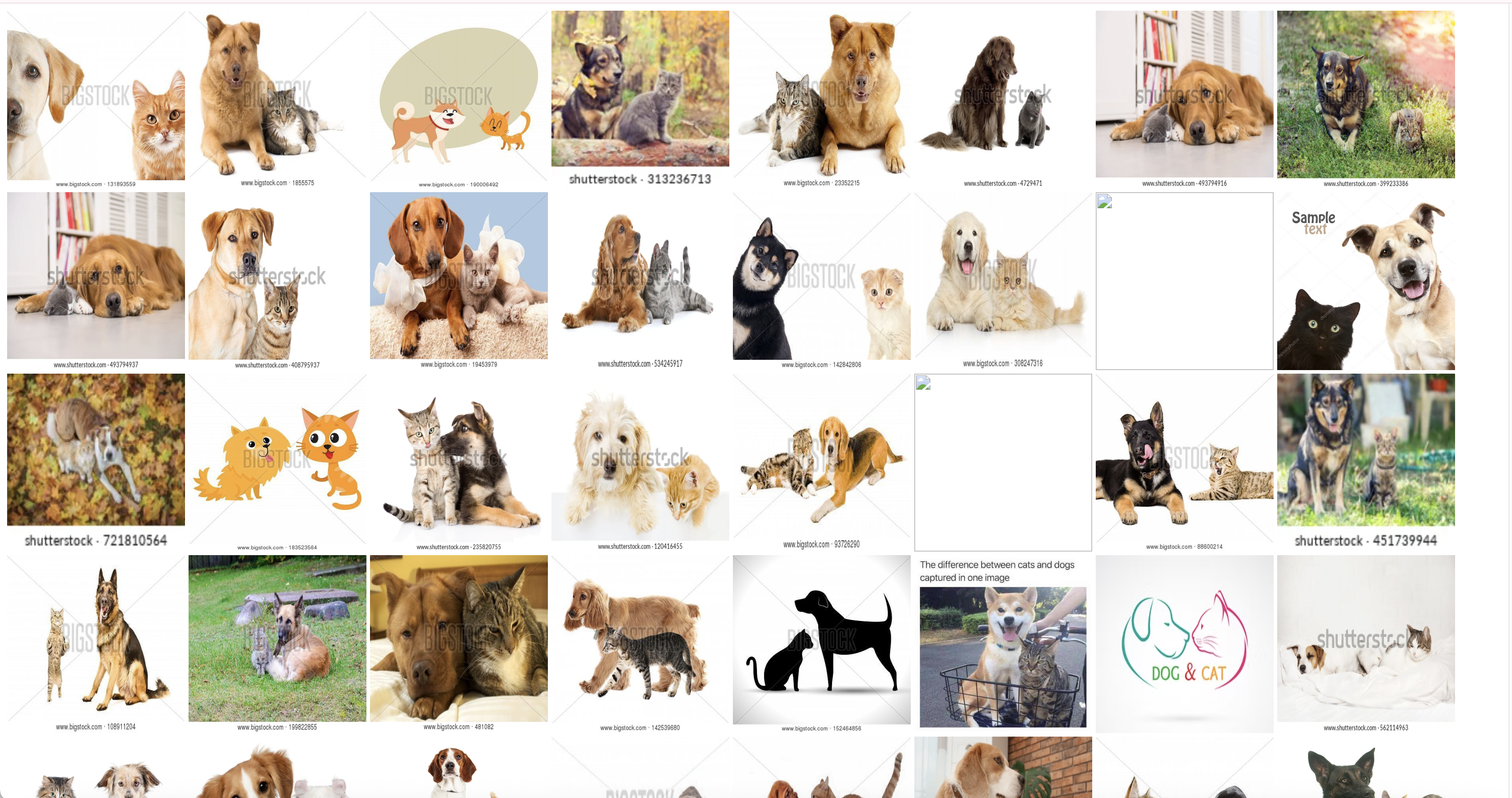 Vector Similarity Search Results