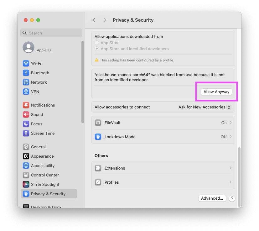 MacOS Privacy & Security settings showing Allow Anyway button